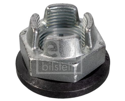 FEBI BILSTEIN 10736 Nut, stub axle SAFRANE 2.5 dT (B548) 113 PS Diesel 1997