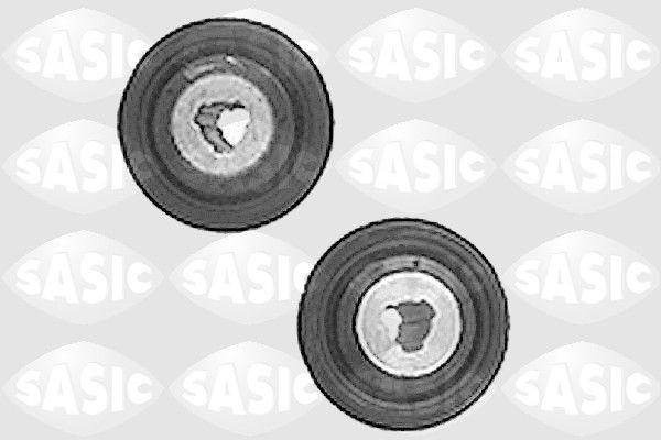 SASIC 4005423 Remondikomplekt, kande- / juhtliigend KANGOO 1.6 90 HP Bensiin