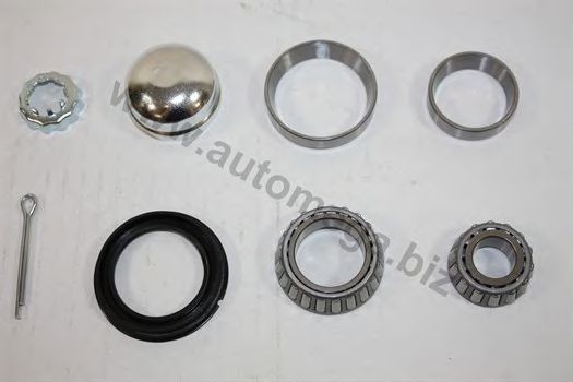 AUTOMEGA Wheel bearing kit Article number: 305980625191 cheaply