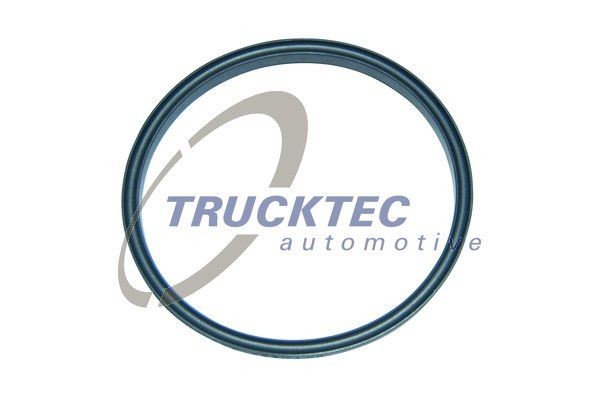 TRUCKTEC AUTOMOTIVE Ventilfjær artikkelnummer: 01.12.127 billig
