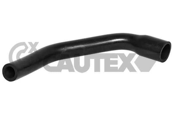CAUTEX Olieslange Varenummer: 011395 billige
