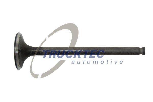 TRUCKTEC AUTOMOTIVE Exhaust valve Article number: 02.12.138 cheaply