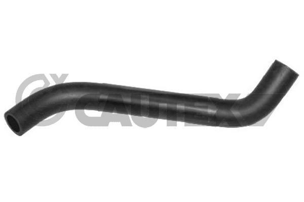 CAUTEX Olieslange Varenummer: 031144 billige