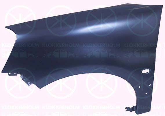 KLOKKERHOLM 0550791 Mootorikate PARTNER 1.9 D 69 HP Diisel 2015