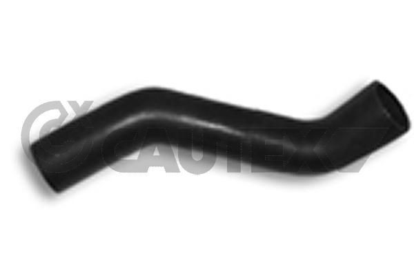 CAUTEX Radiator hose Article number: 066573 cheaply