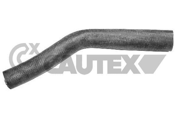 CAUTEX Radiator hose Article number: 081050 cheaply