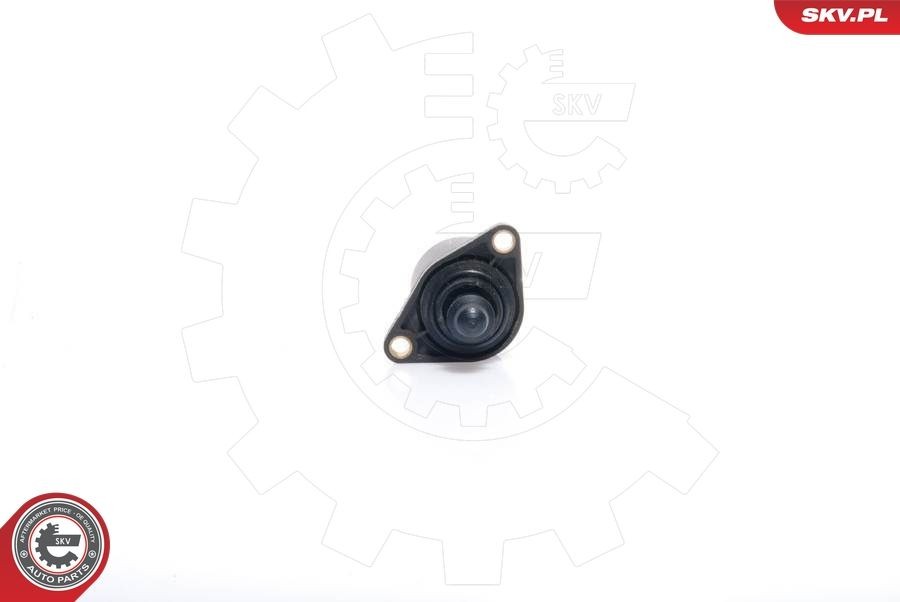 ESEN SKV Idle Control Valve, air supply Article number: 08SKV022 cheaply