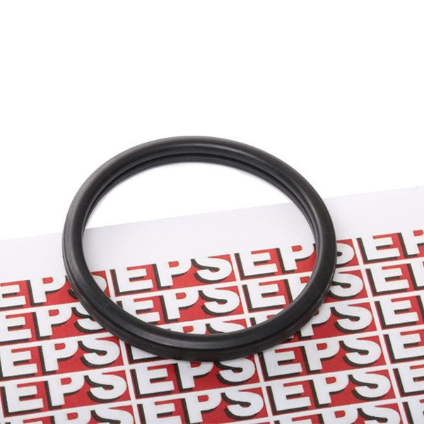 EPS Gasket, thermostat Article number: 1.890.547 cheaply