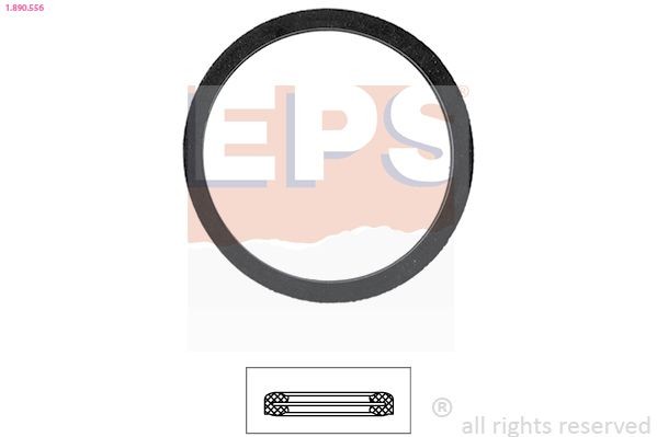 EPS Gasket, thermostat Article number: 1.890.556 cheaply