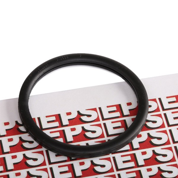 EPS Gasket, thermostat Article number: 1.890.568 cheaply