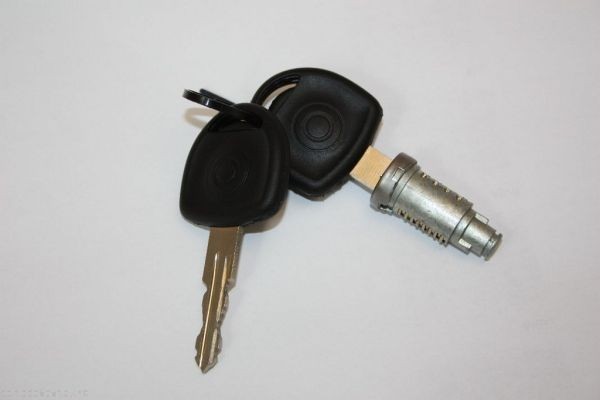 AUTOMEGA Lock Cylinder Article number: 100080810 cheaply