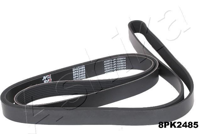 ASHIKA Serpentine belt Article number: 112-8PK2485 cheaply