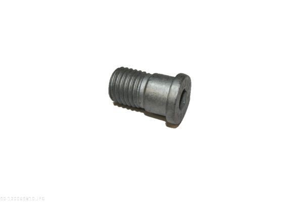 AUTOMEGA 120069810 Bolt, brake disc CORSA 1.2 Twinport (F08, F68) 80 PS Petrol 2009