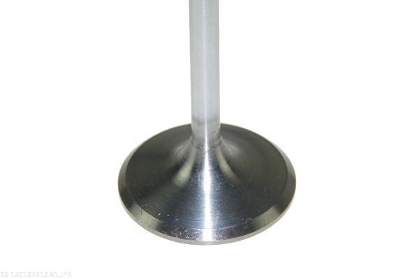 AUTOMEGA Paigutus, Mootor Artikli number: 130017410 soodsalt