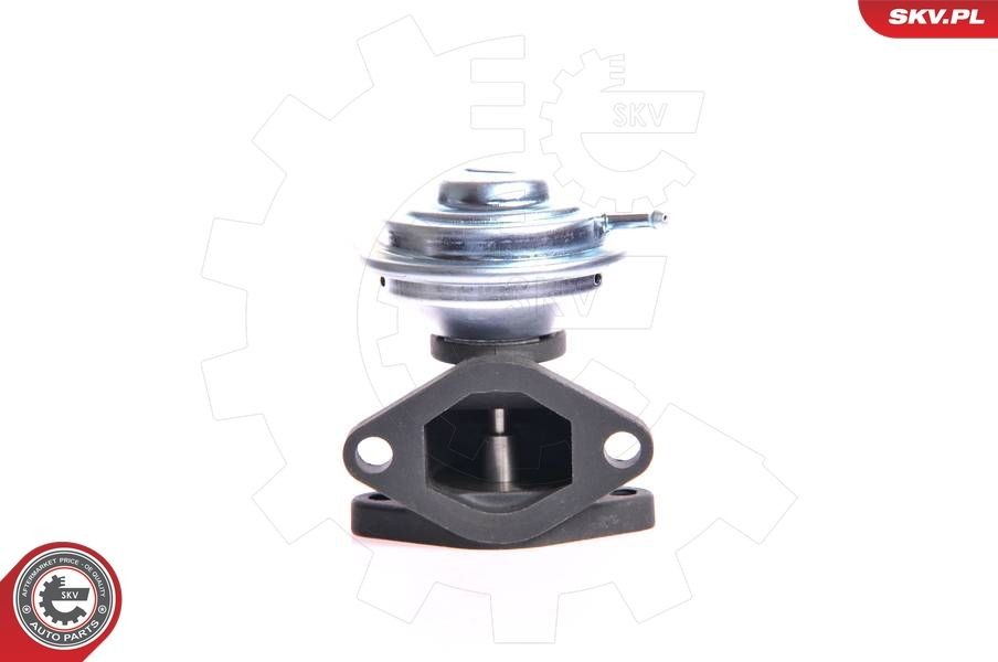 ESEN SKV Vanne EGR UGS: 14SKV001 à bon prix