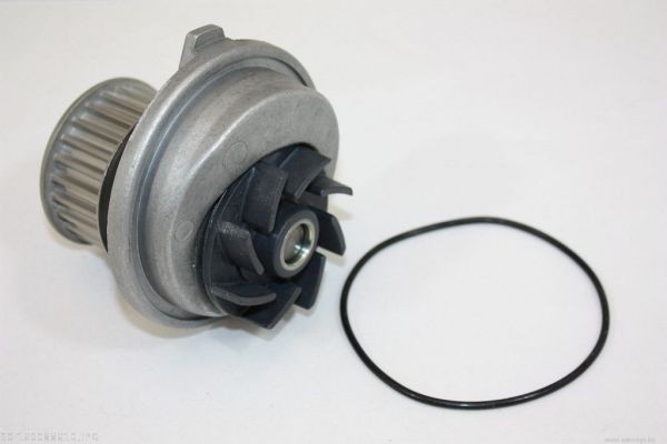 AUTOMEGA Water pump Article number: 160088610 cheaply