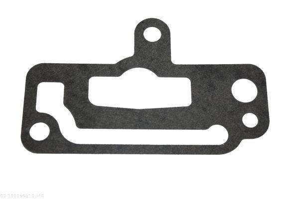 AUTOMEGA Gasket, coolant flange Article number: 190054510 cheaply