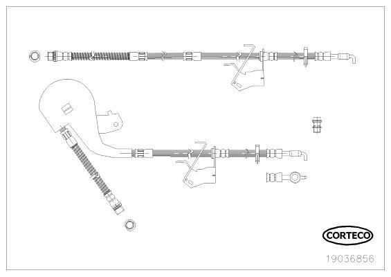 CORTECO Brake hose Article number: 19036856 cheaply