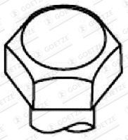 GOETZE Bolt Kit, cylinder head Article number: 22-01313B cheaply