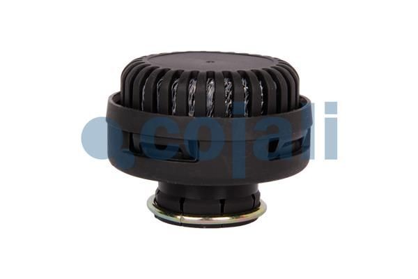 COJALI Silencer, compressed-air system Article number: 2203102 cheaply