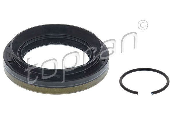 TOPRAN 408 981 Guides, timing chain E-Class E 420 4.2 (210.072) 279 PS Petrol 2003