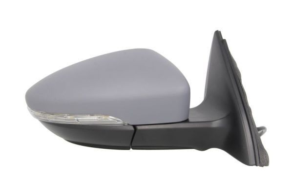 BLIC Wing mirror Article number: 5402-01-2002658P cheaply