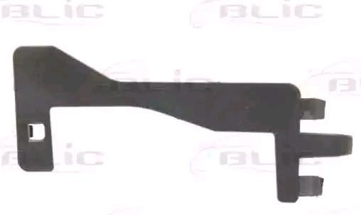 BLIC Bumper moulding Article number: 5510-00-6009924P cheaply