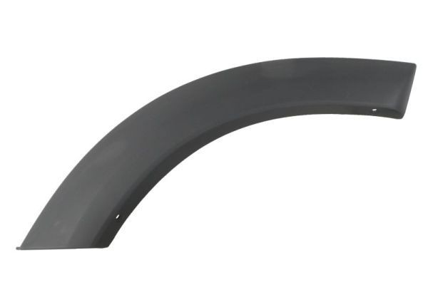 BLIC Trim / Protective Strip, mudguard Article number: 5703-04-8179596P cheaply