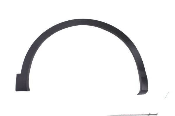 BLIC Trim / Protective Strip, mudguard Article number: 5703-08-1617378P cheaply