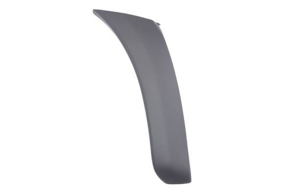 BLIC 5703-08-8179372P Bumper moulding RAV 4 1.8 (ZCA25_, ZCA26_) 125 PS Petrol 2005