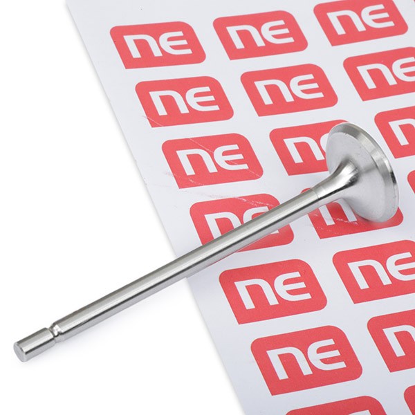 NE Exhaust valve Article number: 5738000000 cheaply