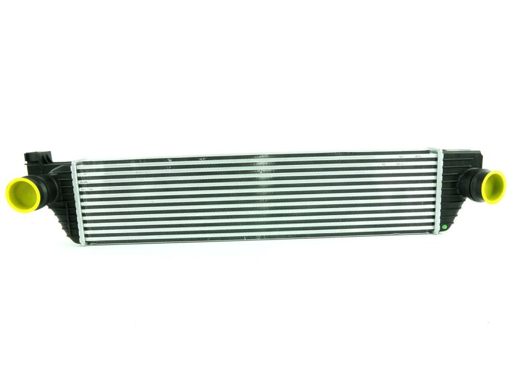 FAST Intercooler Article number: FT55528 cheaply