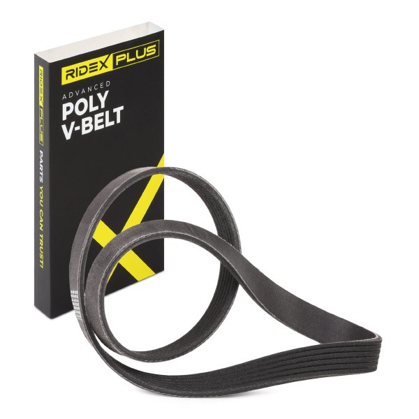 RIDEX PLUS Curea transmisie cu caneluri număr articol: 305P0134P ieftin