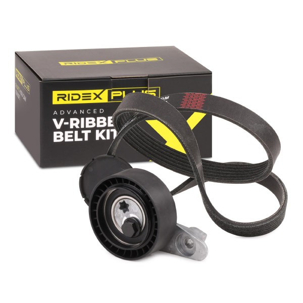 RIDEX PLUS V-Ribbed Belt Set Article number: 542R0462P cheaply