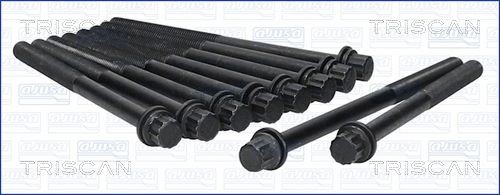 TRISCAN Bolt Kit, cylinder head Article number: 98-3000 cheaply