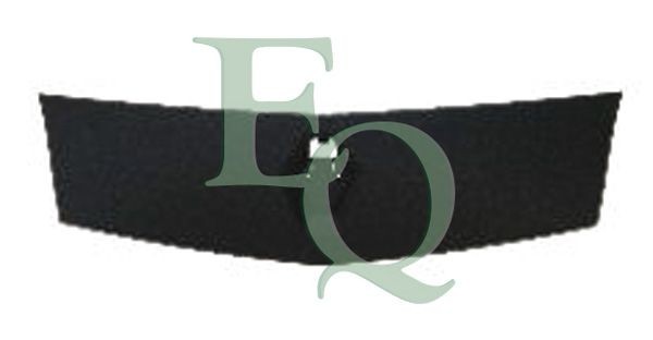 EQUAL QUALITY Radiator Grille Article number: G1239 cheaply