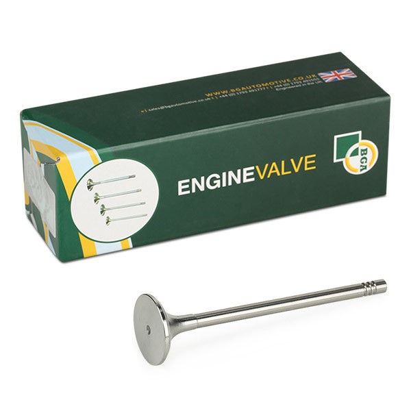BGA Exhaust valve Article number: V166211 cheaply