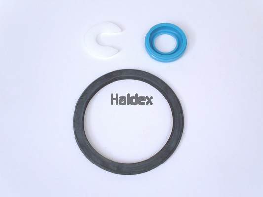 HALDEX Reperationssæt, luftfjederventil Varenummer: 950340010 billige