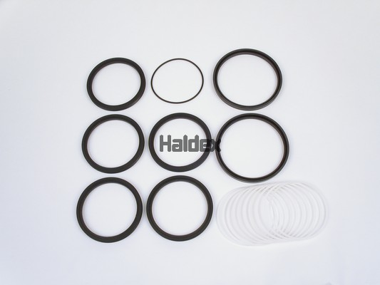 HALDEX Reperations-sæt Varenummer: 950532022 billige