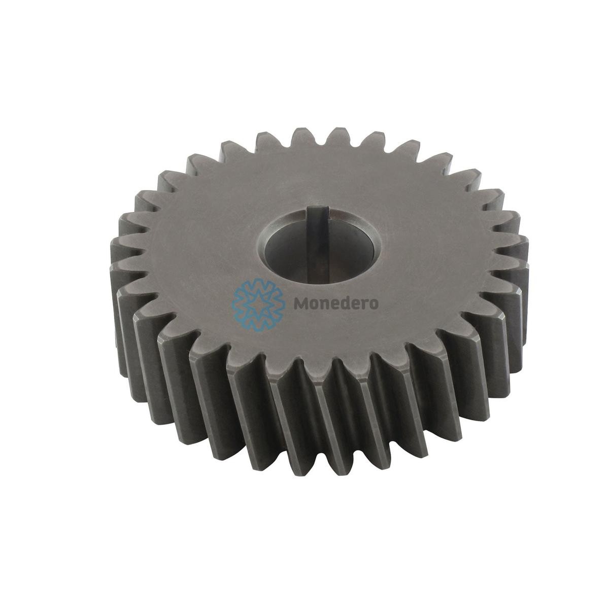 MONEDERO Pulley, power steering pump Article number: 50019000020 cheaply