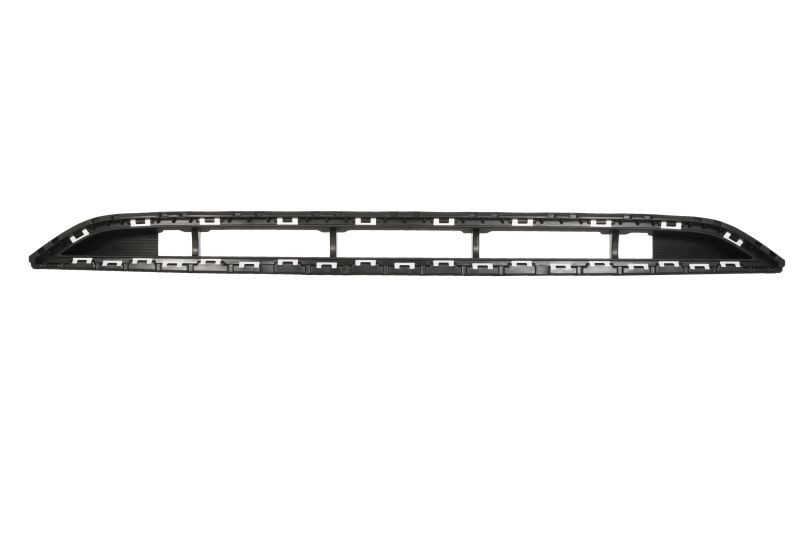 BLIC Bumper grill Article number: 6502-07-3137911Q cheaply