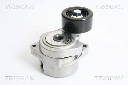 TRISCAN Tensioner Lever, v-ribbed belt Article number: 8641 403002 cheaply