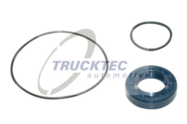 TRUCKTEC AUTOMOTIVE Pakningssæt, hydralikpumpe Varenummer: 02.43.030 billige