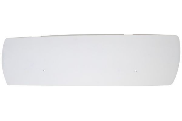 PACOL Vindafviser, førerhus Varenummer: DAF-CP-007R billige