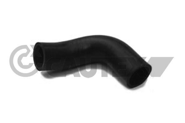 CAUTEX Radiator hose Article number: 036726 cheaply