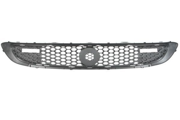 BLIC Radiator Grille Article number: 6502-07-3502999P cheaply