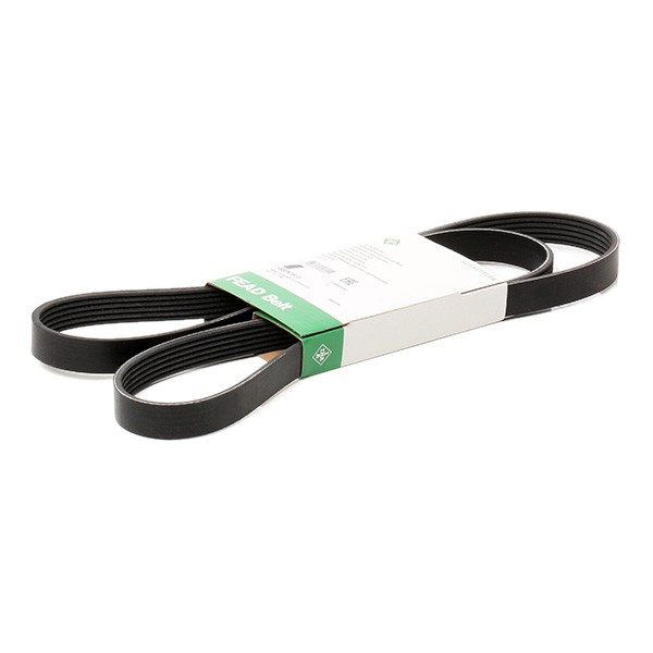INA Serpentine belt Article number: FB 6PK1613 cheaply