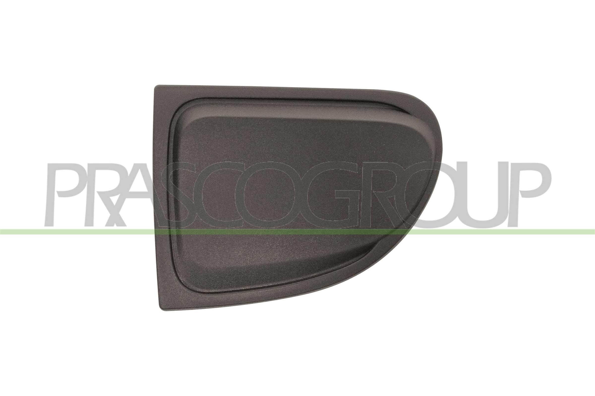 PRASCO FT0602116 Trim / Protective Strip, radiator grille 500 2.0 D Multijet 4x4 (334AXB22, 334AXD2B) 140 PS Diesel