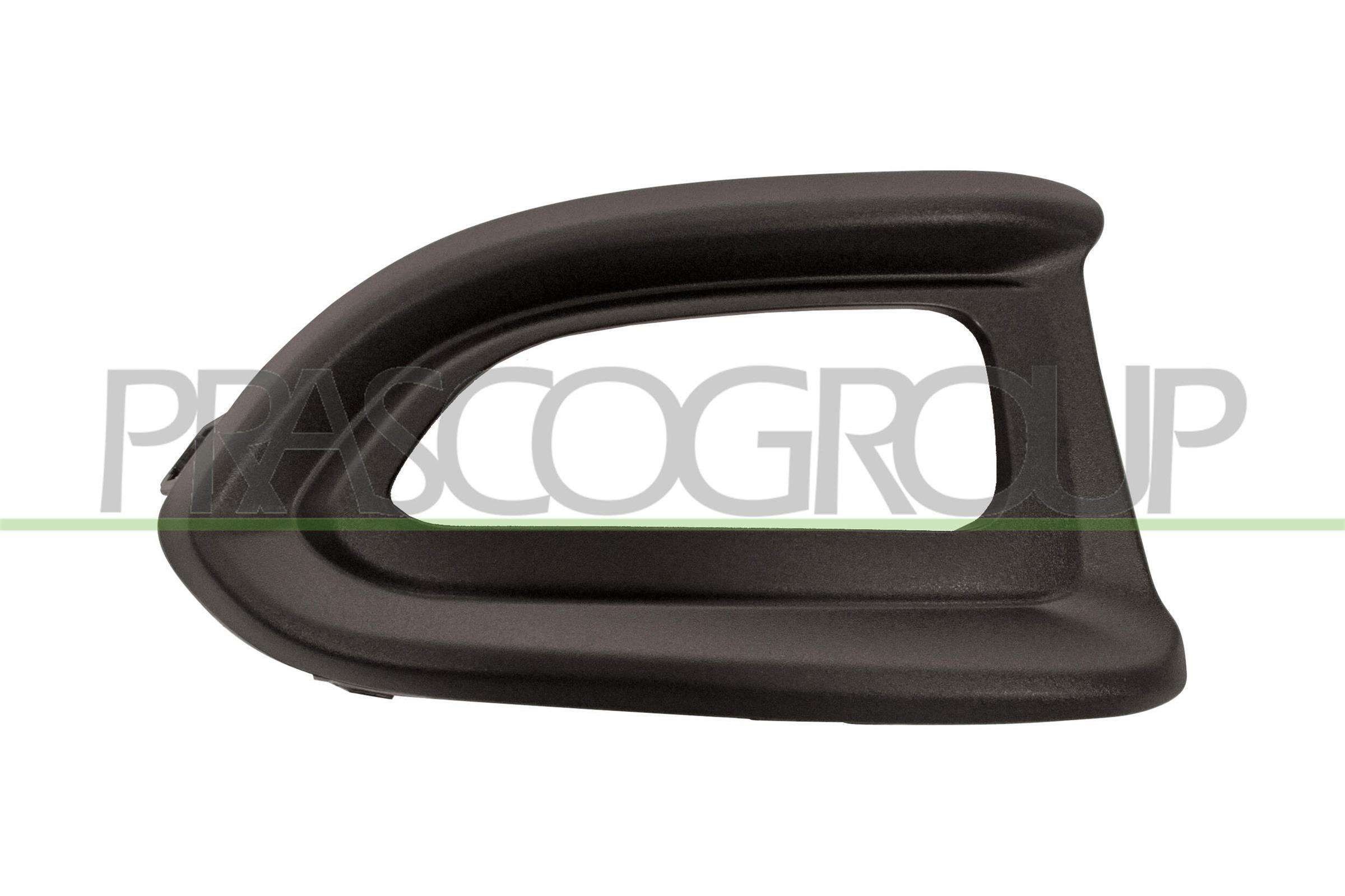 PRASCO FT0602133 Trim / Protective Strip, radiator grille 500 2.0 D Multijet 4x4 (334AXB22, 334AXD2B) 140 PS Diesel