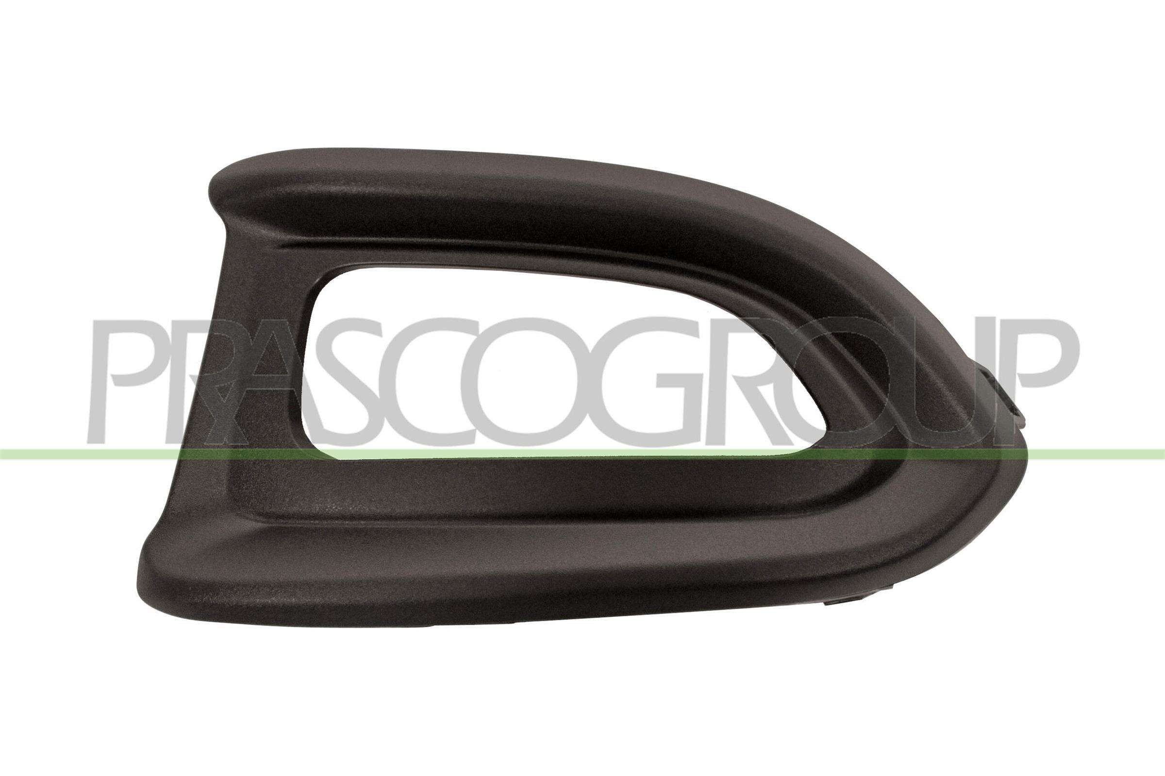 PRASCO FT0602134 Trim / Protective Strip, radiator grille 500 2.0 D Multijet 4x4 (334AXB22, 334AXD2B) 140 PS Diesel